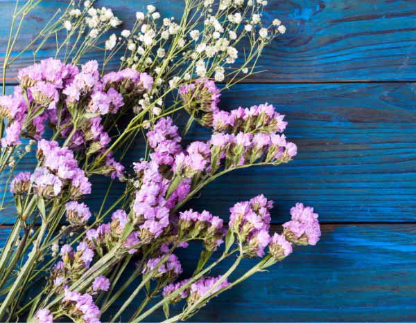 Comment récolter et faire sécher le Limonium pour des bouquets durables ?