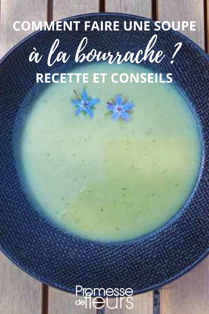 comment faire une soupe à la bourrache