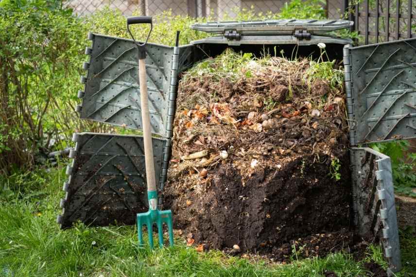 compost bien décomposé : comment le reconnaître 