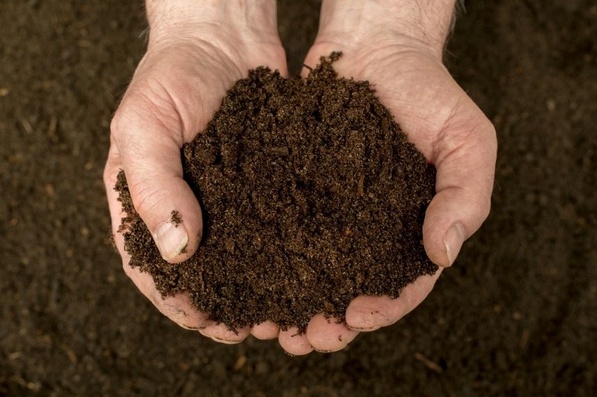 compost arrivé à maturité : comment le savoir ? 