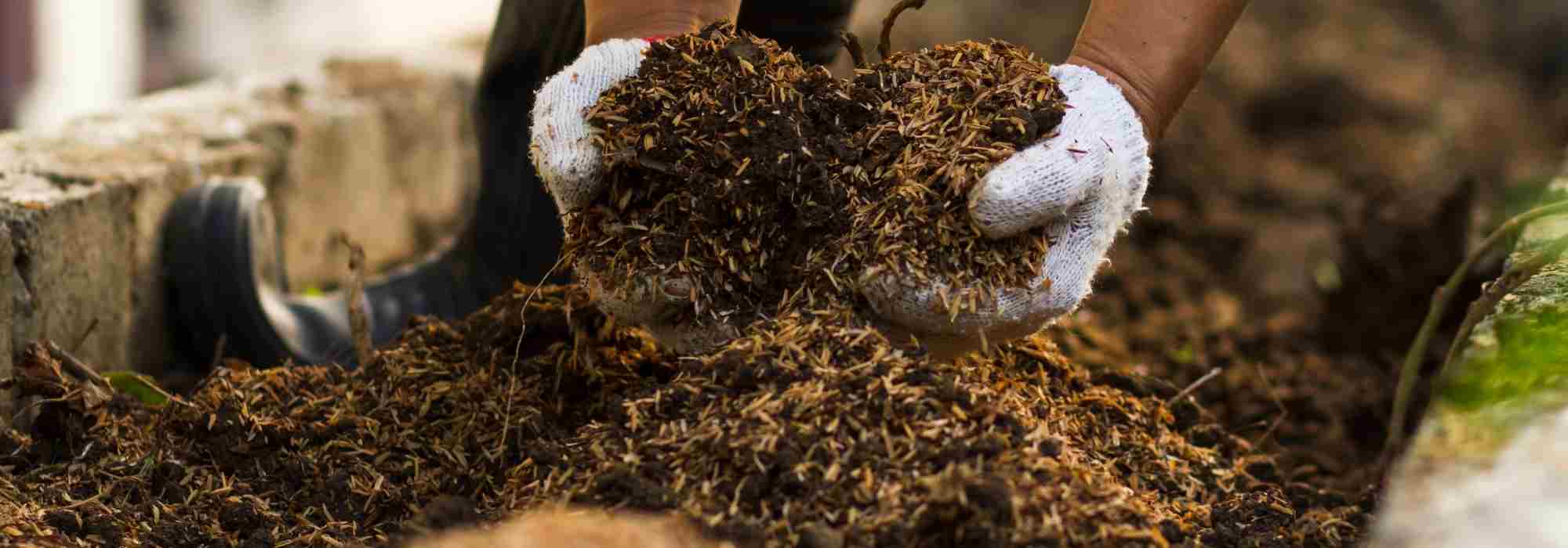 Comment savoir si mon compost est mûr ?