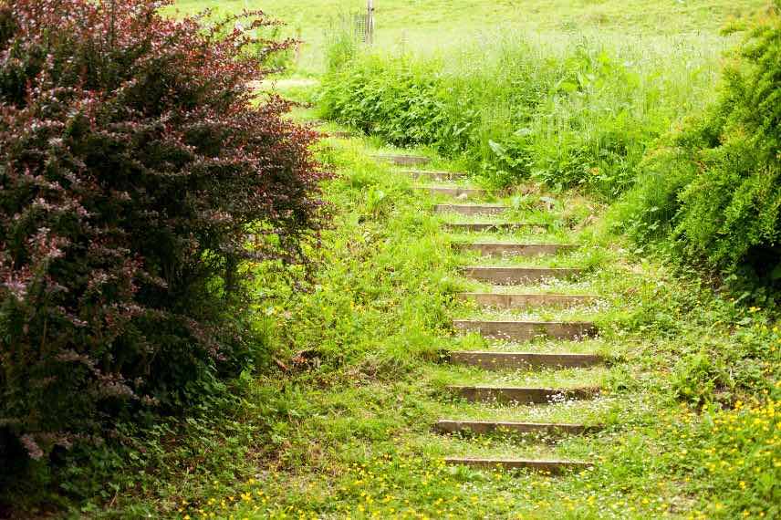 escalier jardin