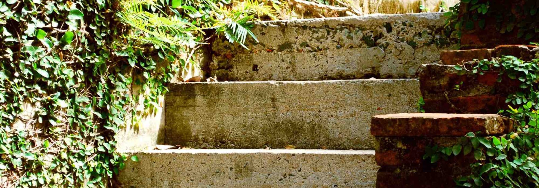 Aménager un escalier de jardin : nos conseils pour sublimer votre extérieur