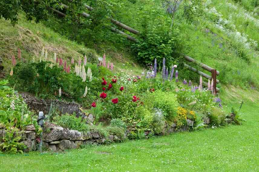 jardin en pente aménagement