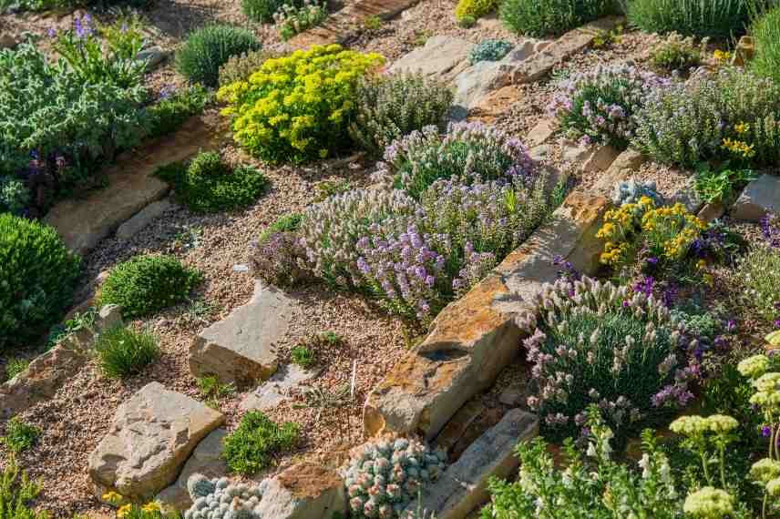 jardin en forte pente roches et pierres