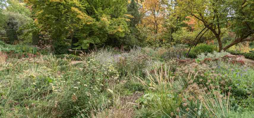 jardin et coccinelle