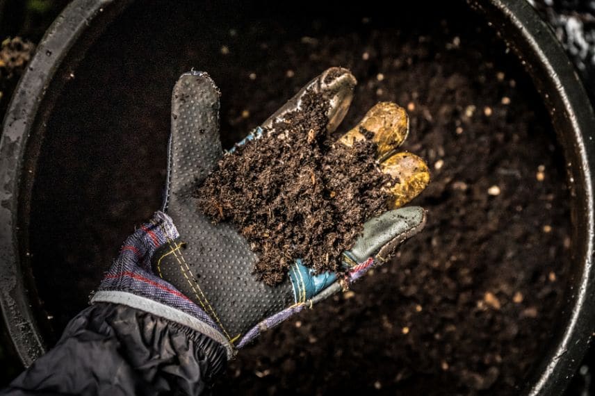 tester l'humidité du compost