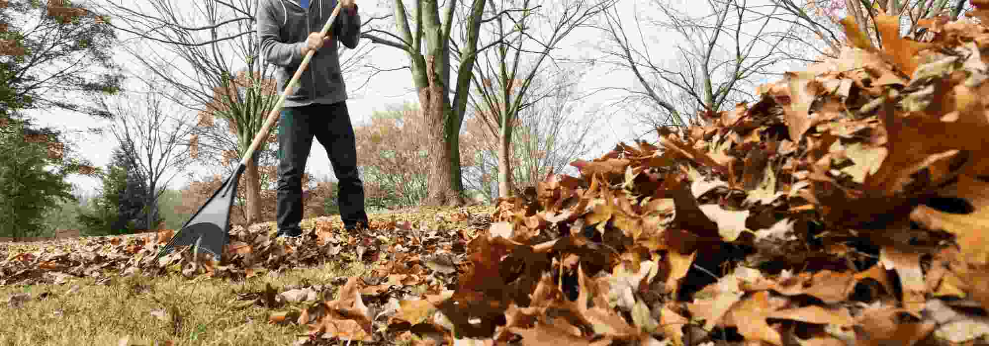 Entretien du jardin : les outils de ramassage et de nettoyage indispensables