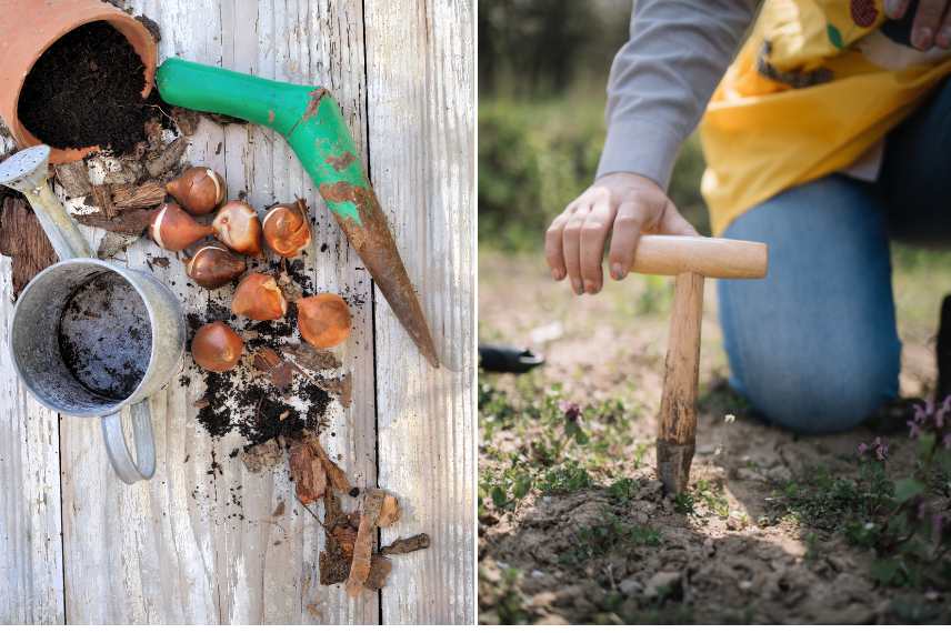 outils de plantation plantoir