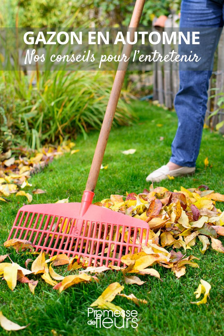 entretien du jardin à l'automne