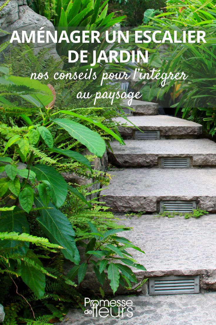 un escalier au jardin, choix des plantes et aménagements