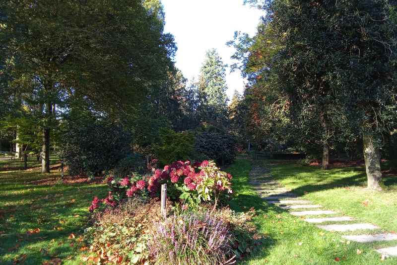 Arboretum Gaston Allard, Angers