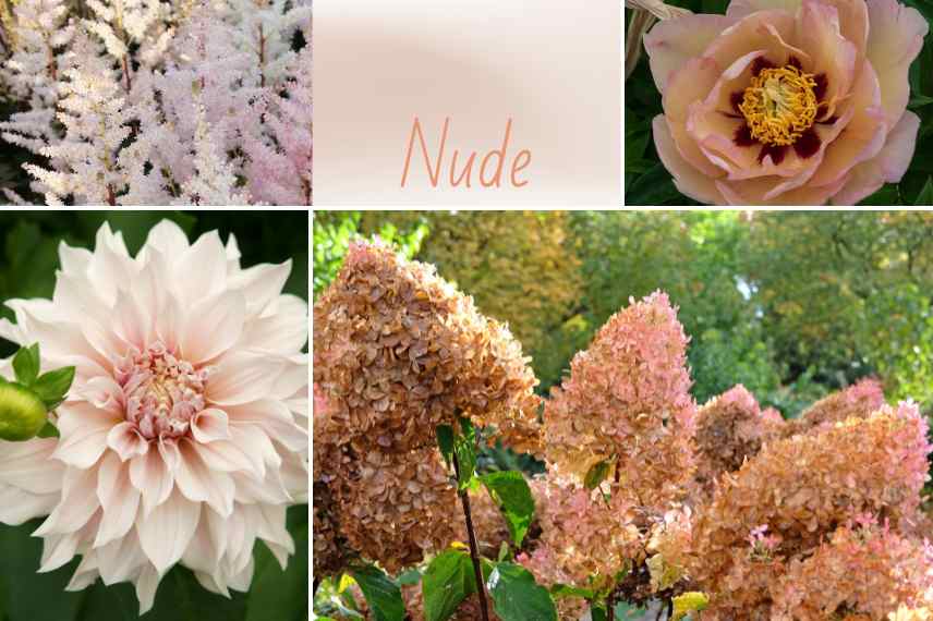 le jardin Nude