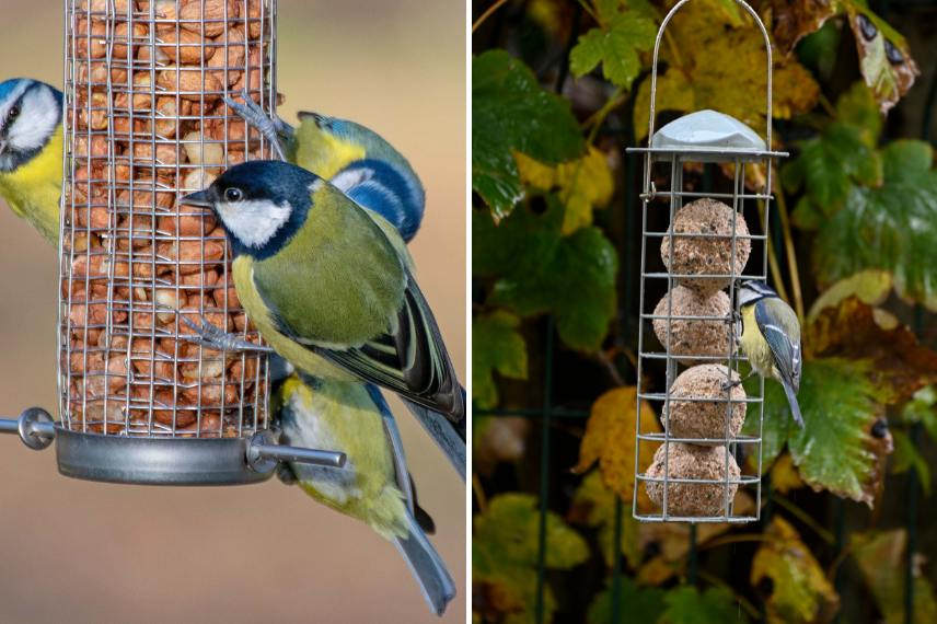 mangeoires oiseaux grillagées