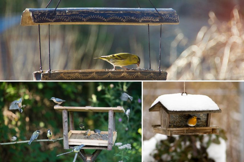 mangeoires oiseaux tables de nourrissages