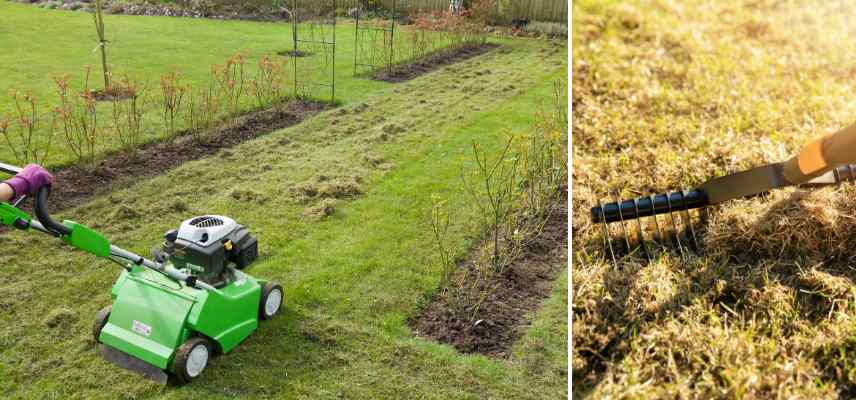 scarifier la pelouse en automne