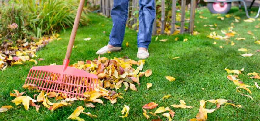 pelouse en automne que faire soins entretien