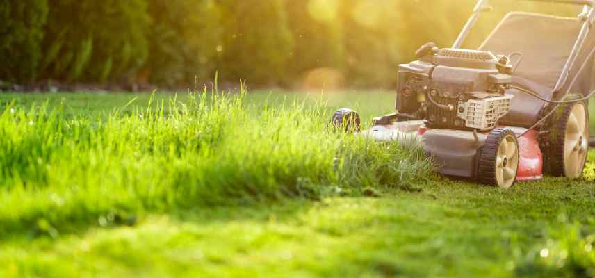 tondre pelouse en automne frequence jusqu a quand