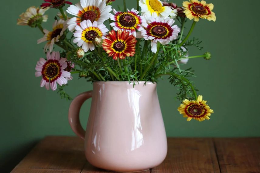 bouquet de chrysanthmes de fleuristes Rainbow