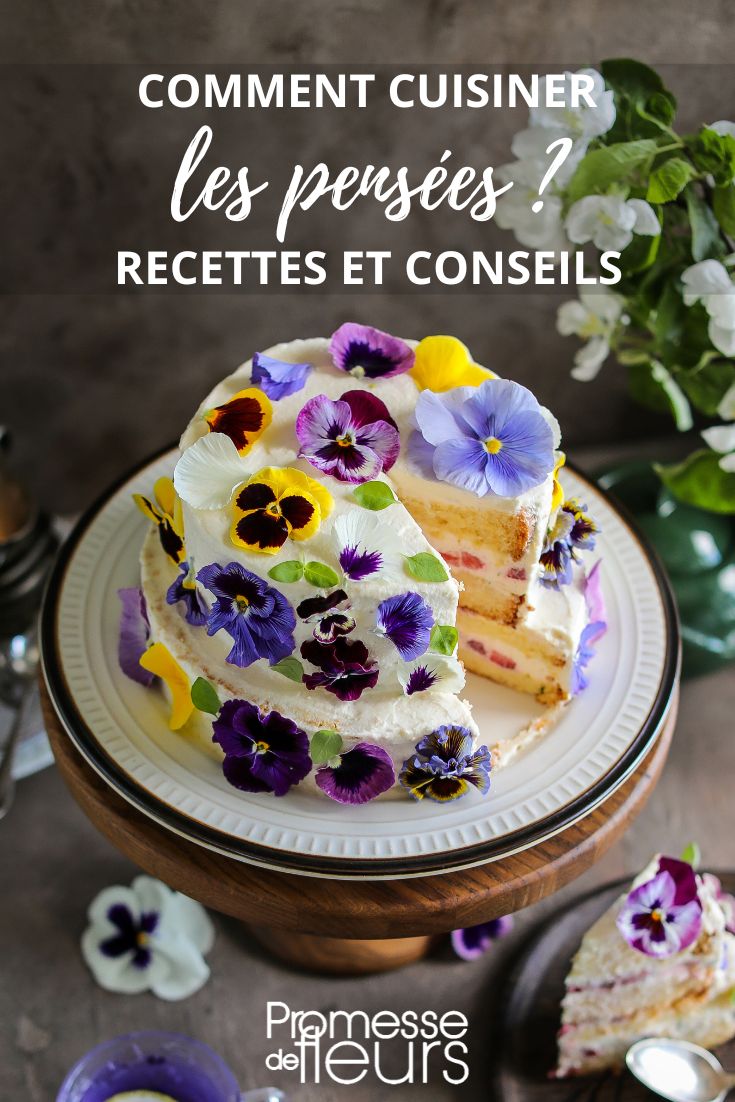 viola fleurs comestibles