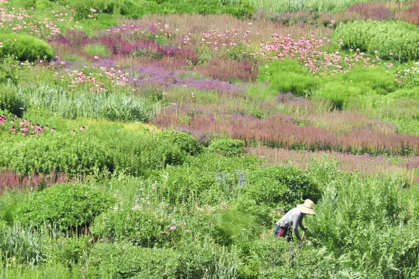 jardin naturaliste exemples