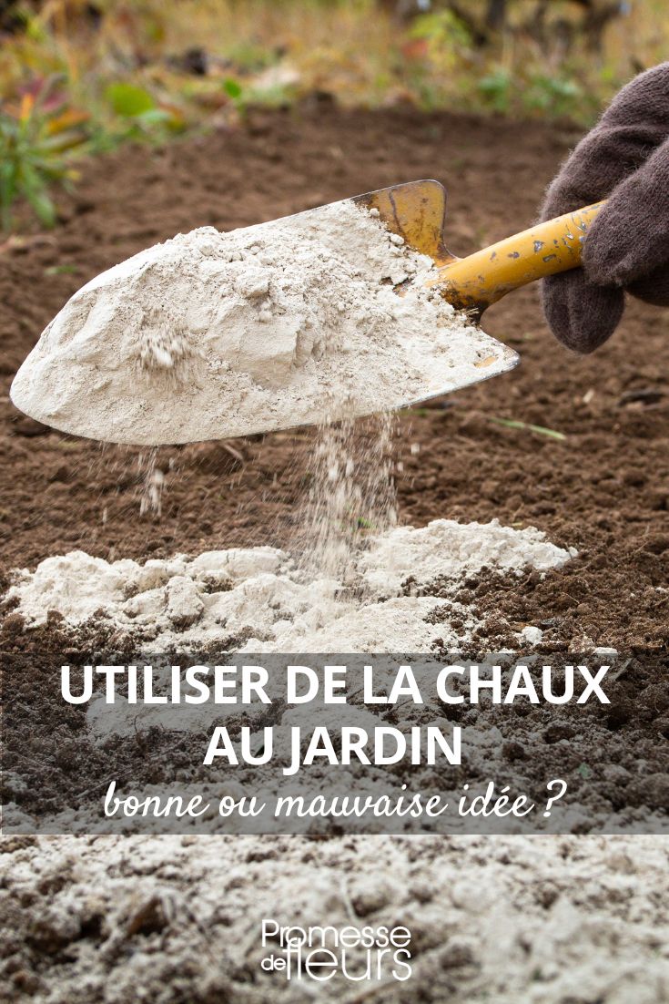 chaux au jardin