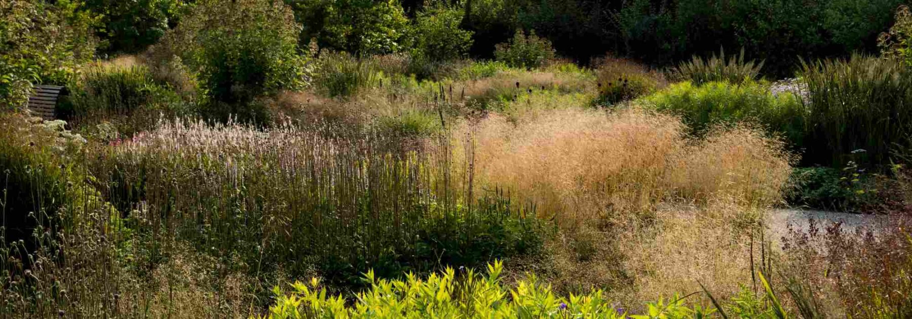 Comment aménager un jardin naturaliste ?