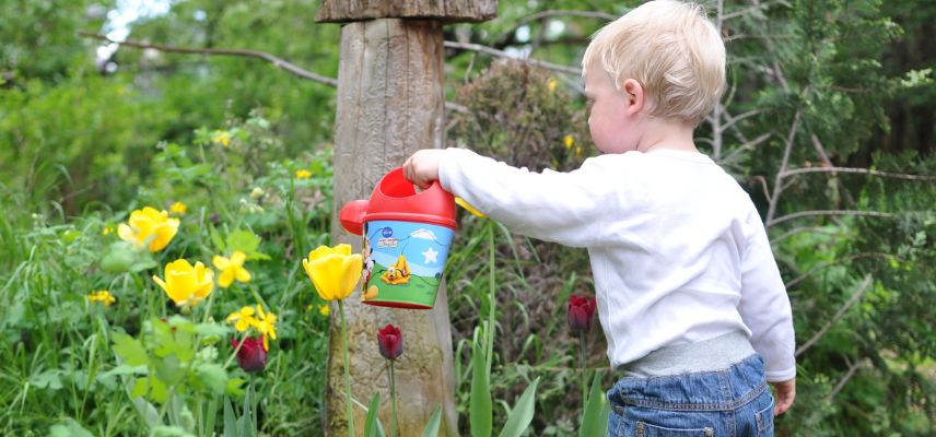 un enfant arrose les plantes du jardin