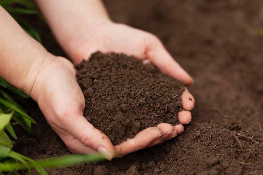 mauvais sol jardin pourquoi y remedier