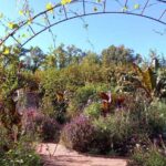 Festival international des Jardins de Chaumont-sur-Loire 2024 : Le jardin, source de vie