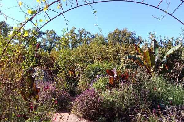 Festival international des Jardins de Chaumont-sur-Loire 2024 : Le jardin, source de vie