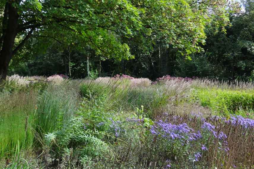 jardin naturaliste exemple conseil