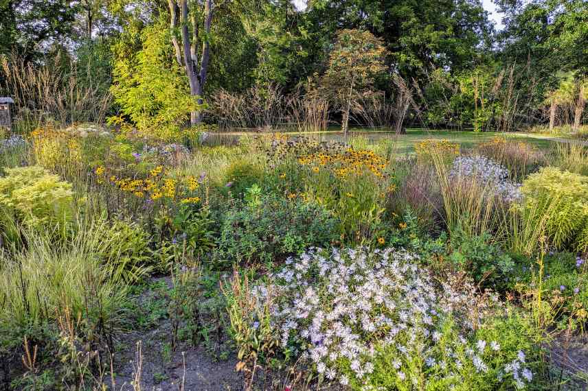 jardin naturaliste pour quel jardin