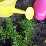 Initiez vos enfants au jardinage avec des outils adaptés et ludiques !