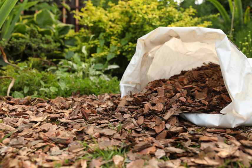 quel paillage organique ecologique