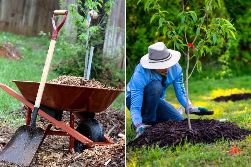 permaculture pailler ecologique