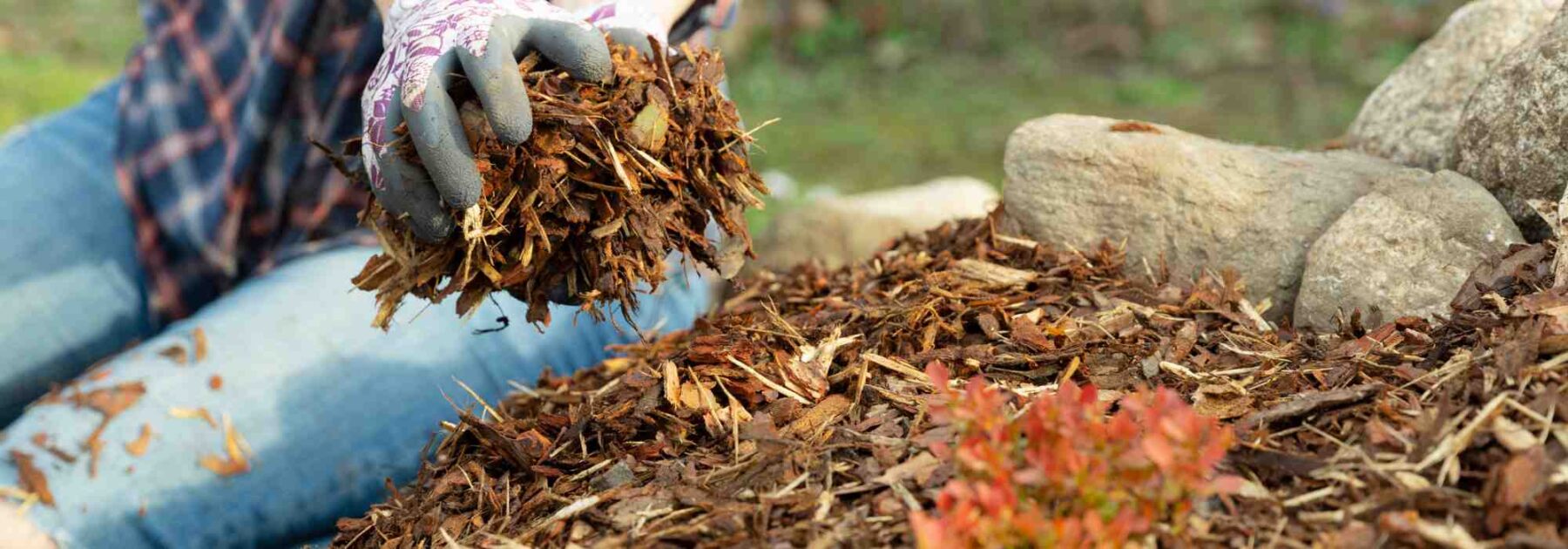 Permaculture et potager bio : choisir un paillage écologique