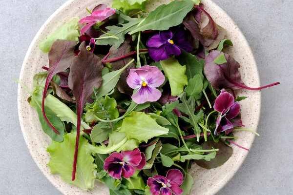 Fleurs comestibles : les pensées s'invitent en cuisine !