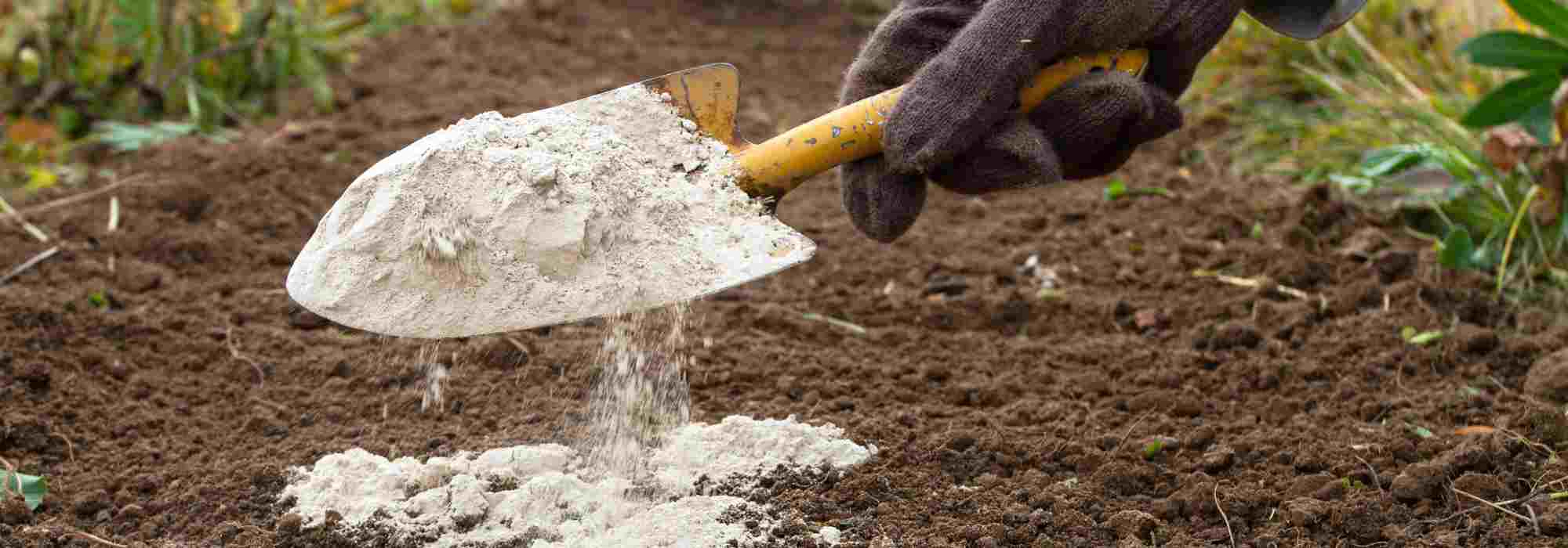 Utiliser de la chaux au jardin : bonne ou mauvaise idée ?