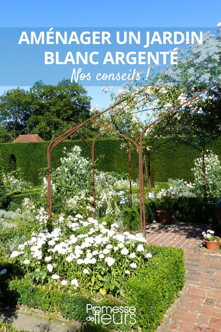 planter un jardin à fleurs blanches