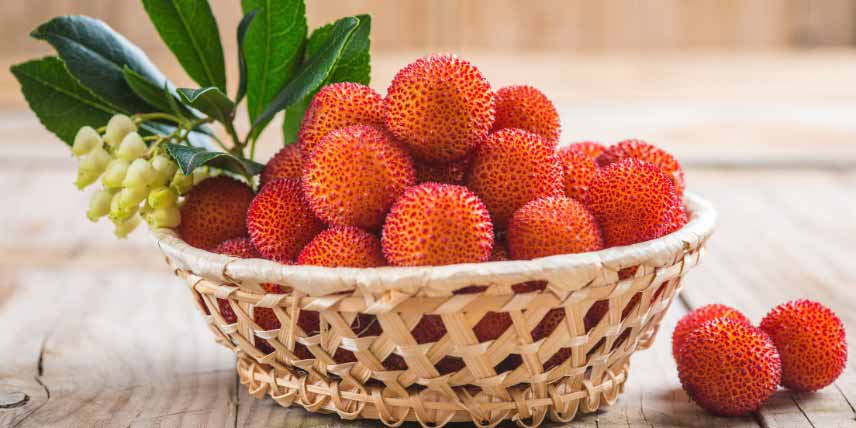 Arbouses, fruits de l'Arbutus unedo