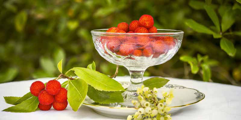 Arbouses, fruits de l'Arbutus unedo