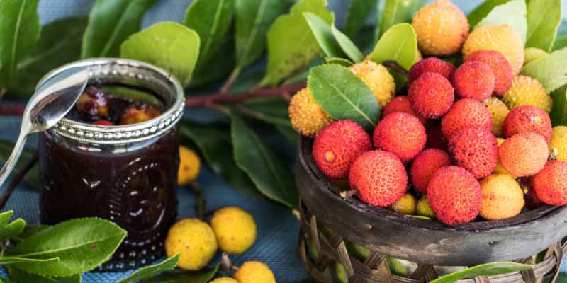 Confiture d'arbouses