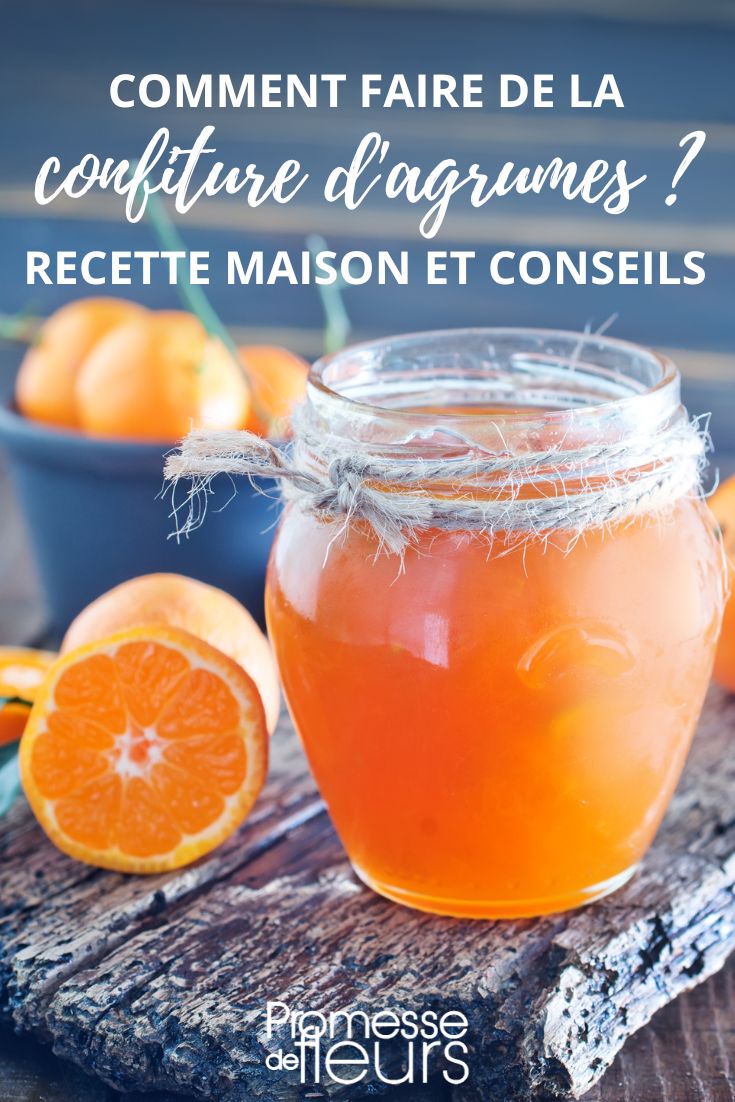 recette confiture maison