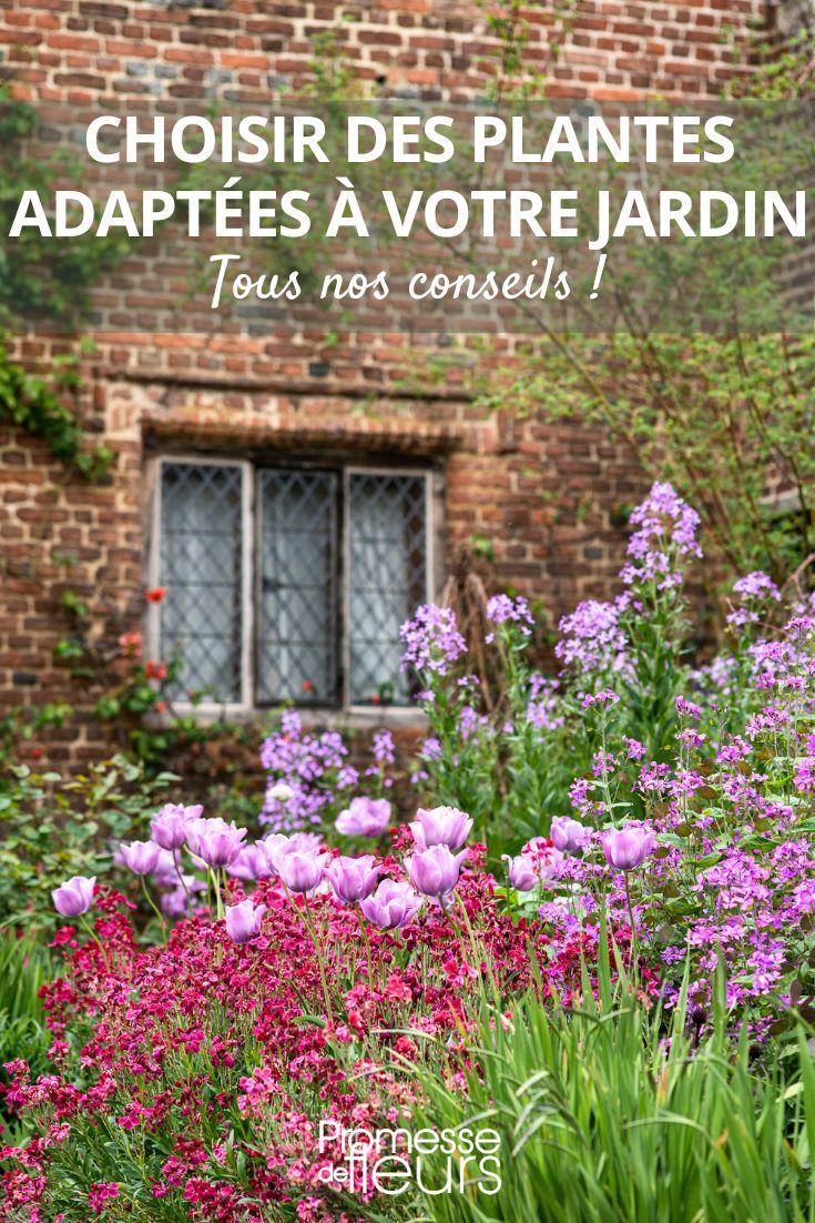 savoir trouver des plantes adaptées