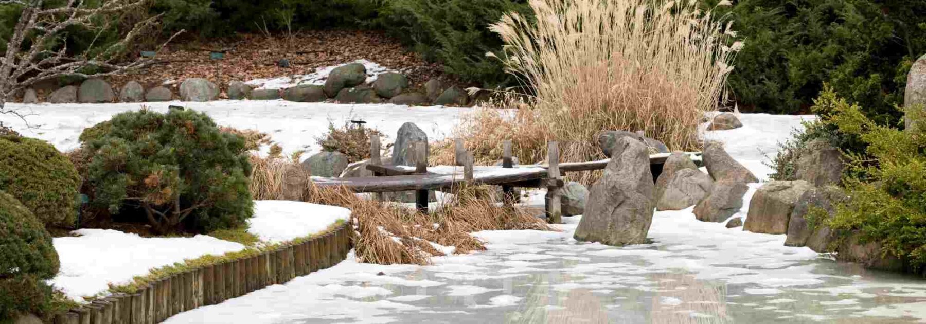 Comment identifier les points froids d'un jardin ?