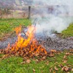 Qu'a-t-on le droit de faire ou de ne pas faire dans son jardin ?