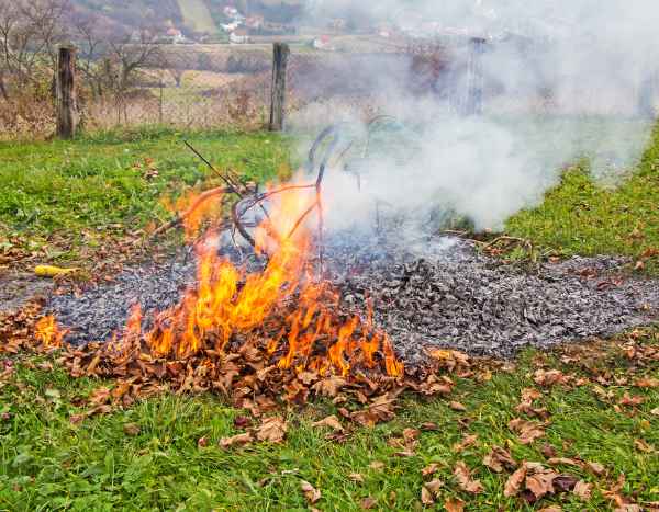 Qu'a-t-on le droit de faire ou de ne pas faire dans son jardin ?