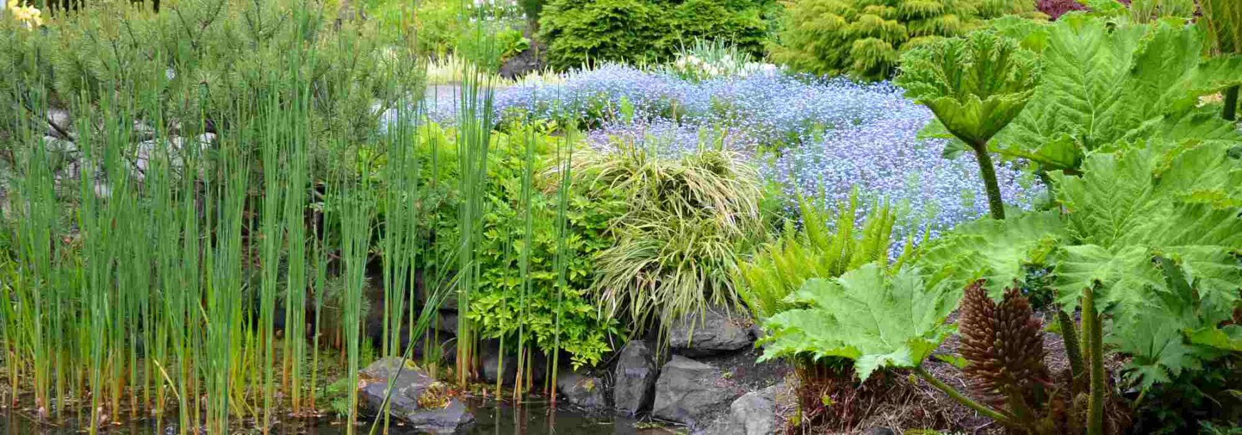 Comment choisir des plantes adaptées à mon jardin ?