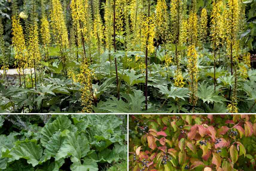 choisir plantes vegetaux adaptés à son jardin